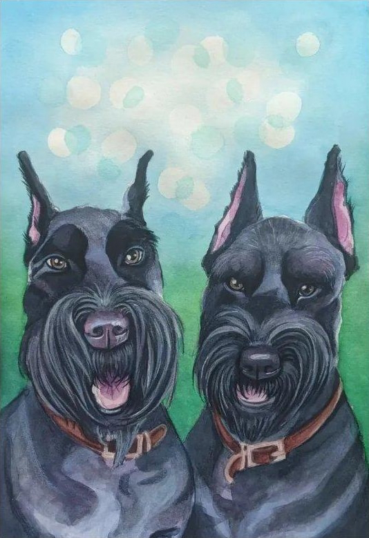 Original watercolour pet portrait, example 2