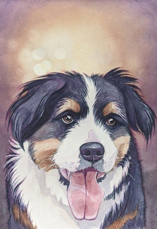 Original watercolour pet portrait, example 4