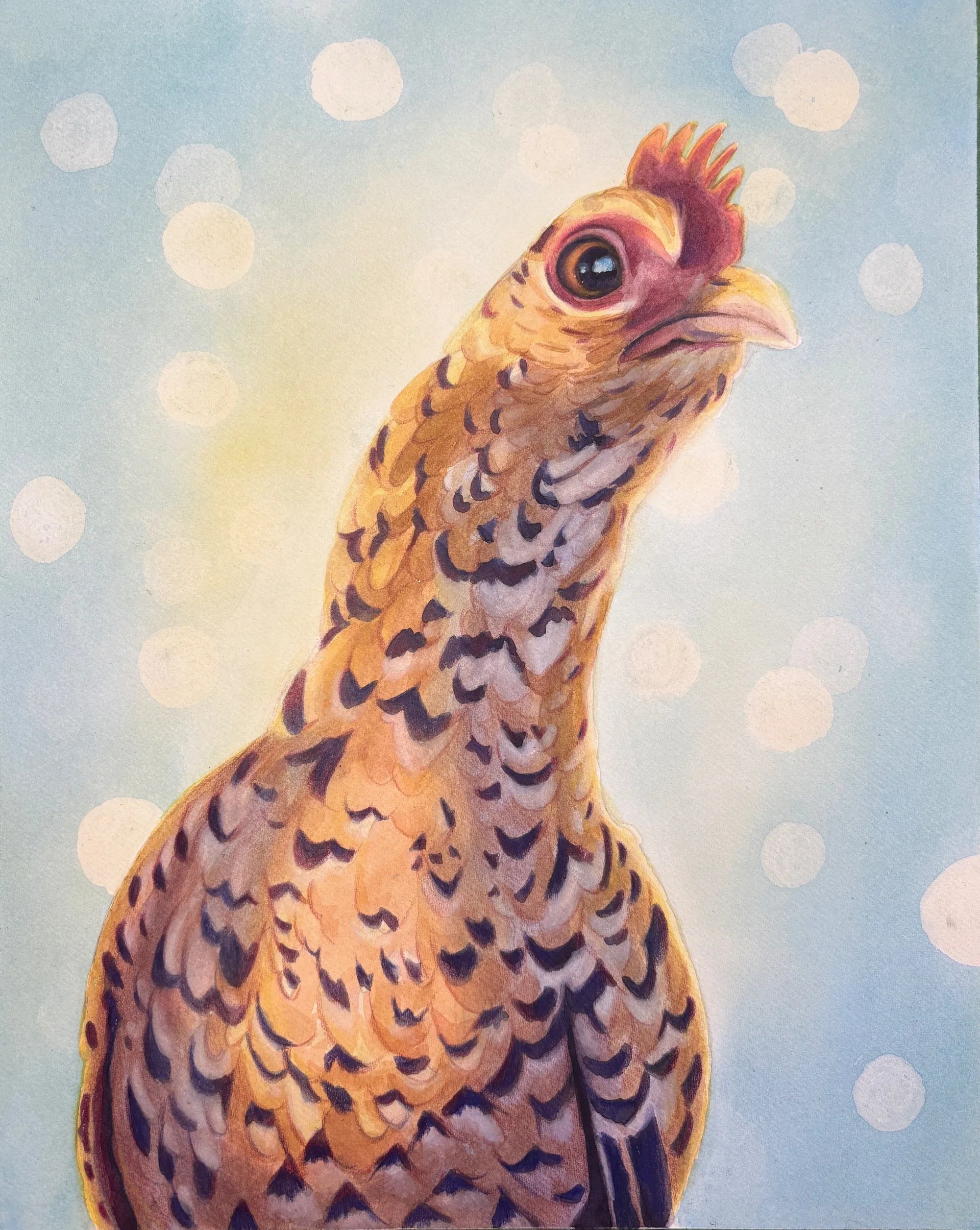 Golden-brown hen on a blue background.