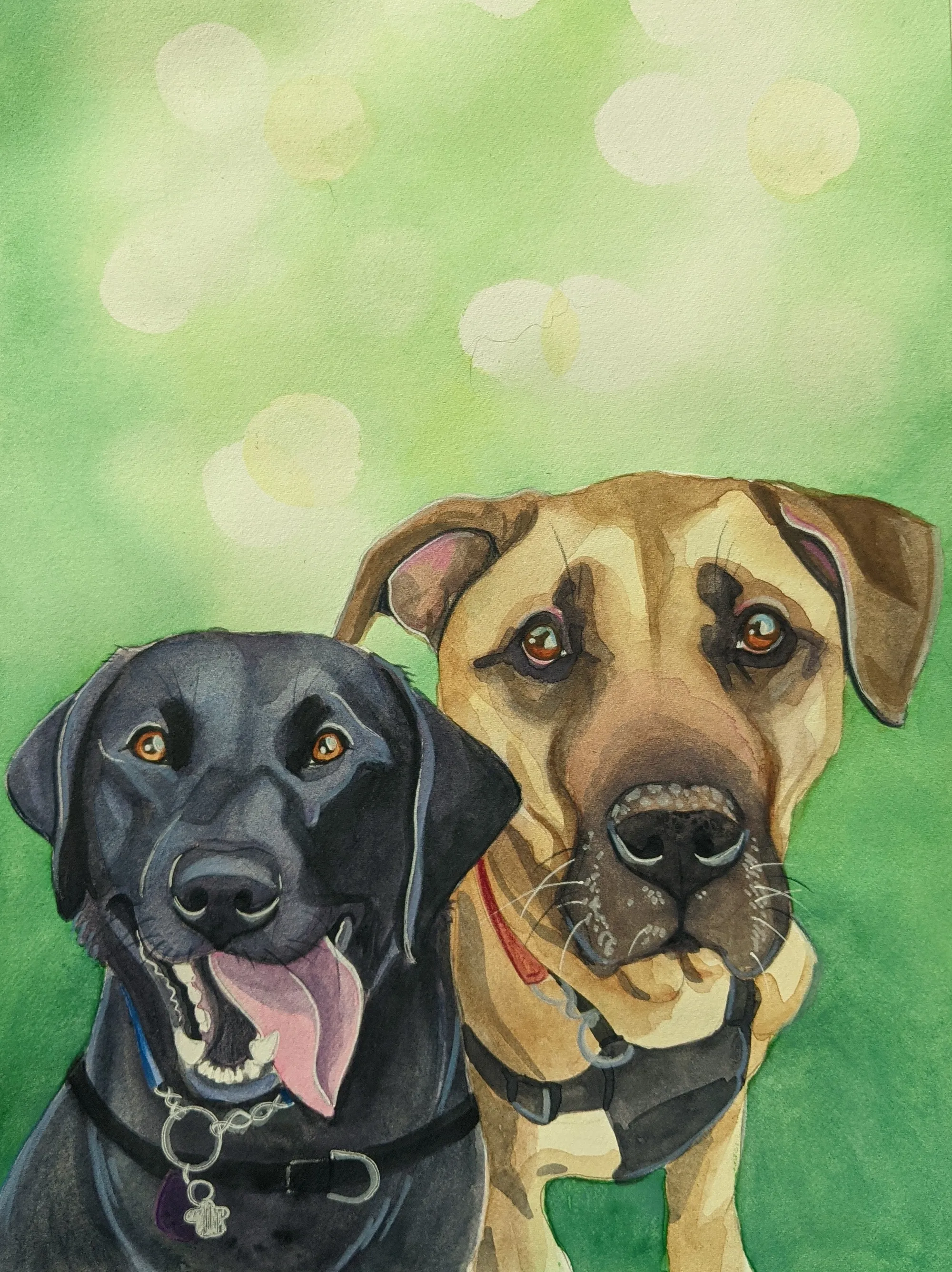 Black dog and tan-and-black dog sitting together on a green background.