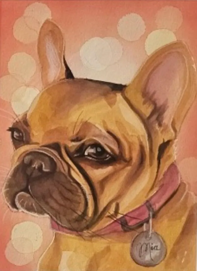Fawn French bulldog wearing a pink collar on a peach background.