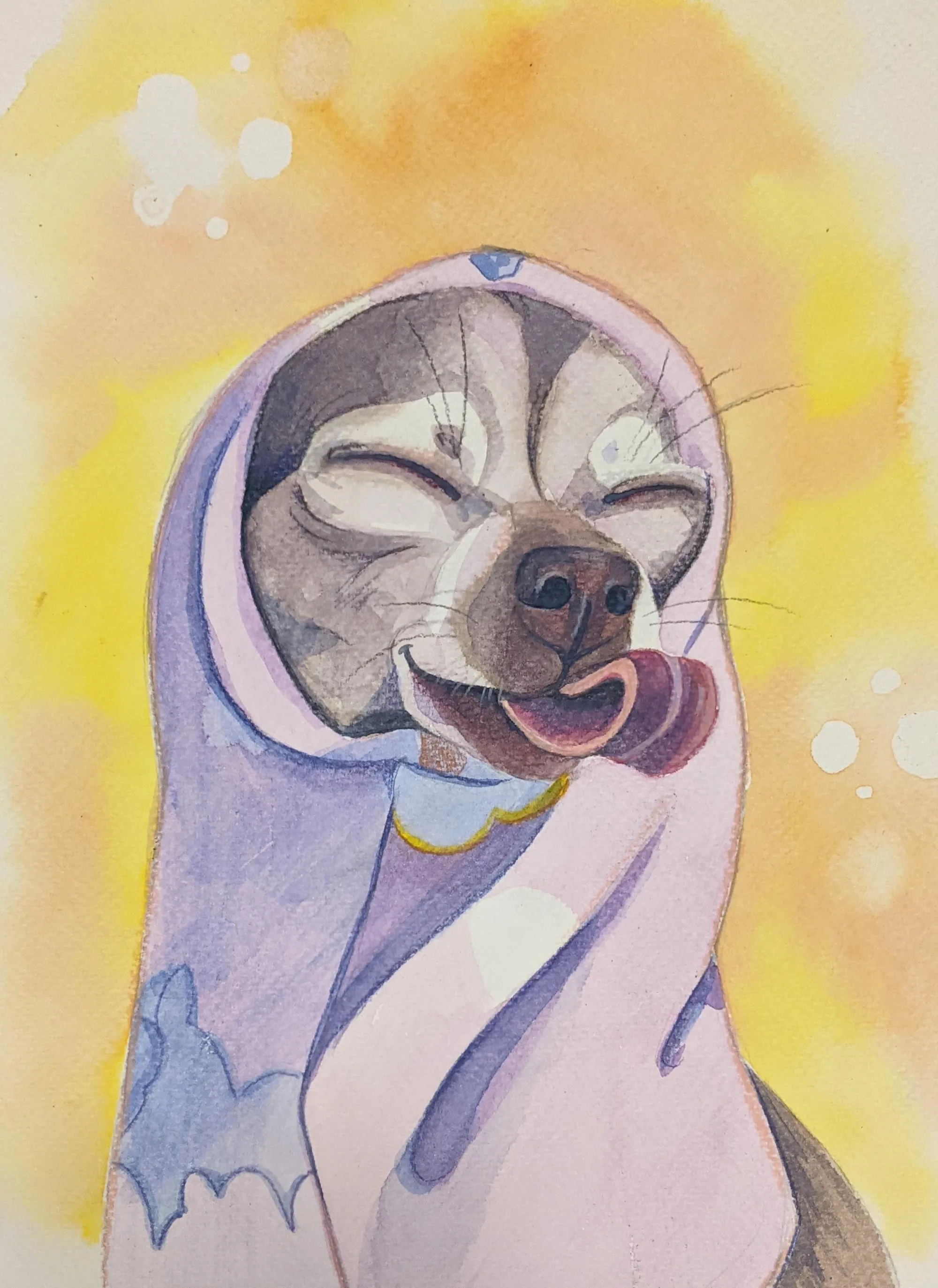 Small grey-and-white dog wrapped in a purple blanket on a yellow background.