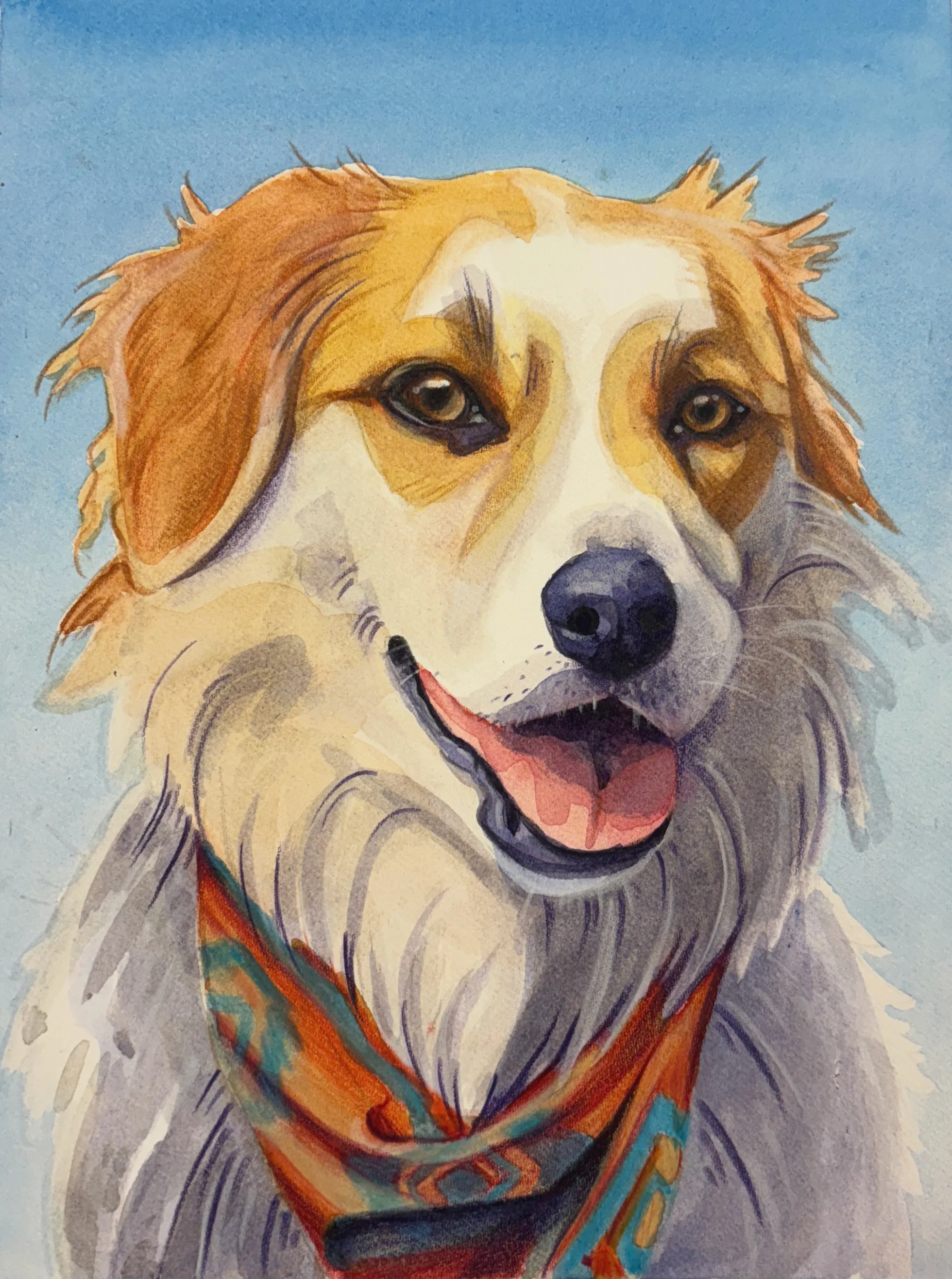 Golden-and-white dog wearing an orange bandana on a blue background.