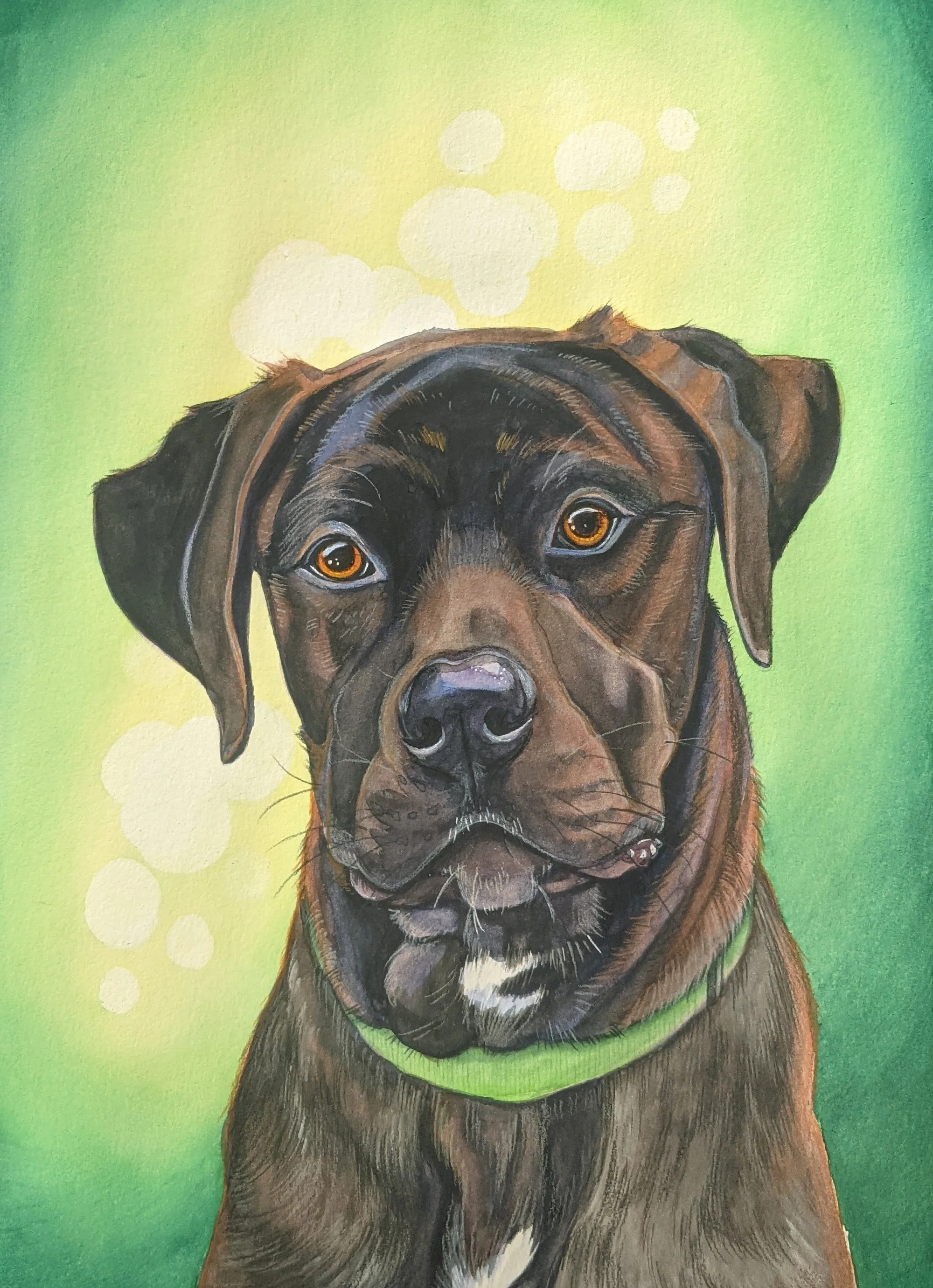 Brindle dog wearing a green collar on a green-and-yellow background.