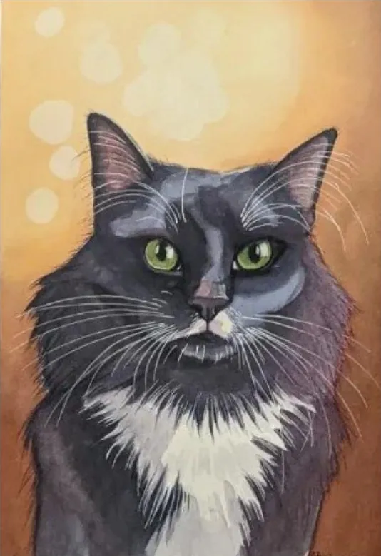 Black-and-white long-haired cat with green eyes on a golden-orange background.