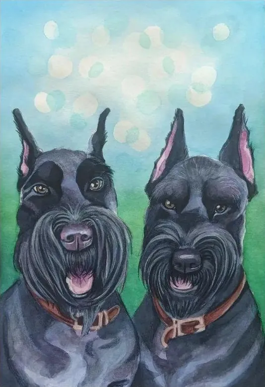 Two black schnauzers on a blue-and-green background.
