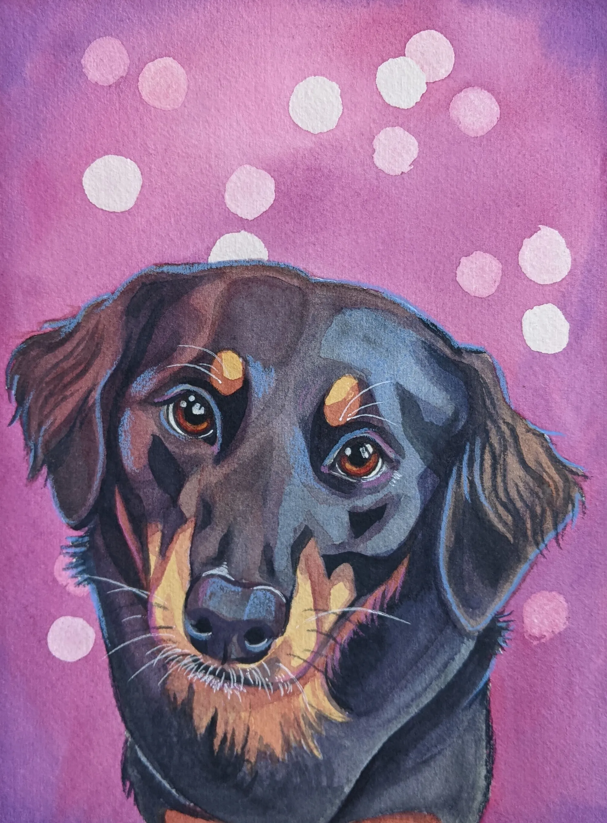 Black-and-tan dog with floppy ears on a pink-and-purple background.