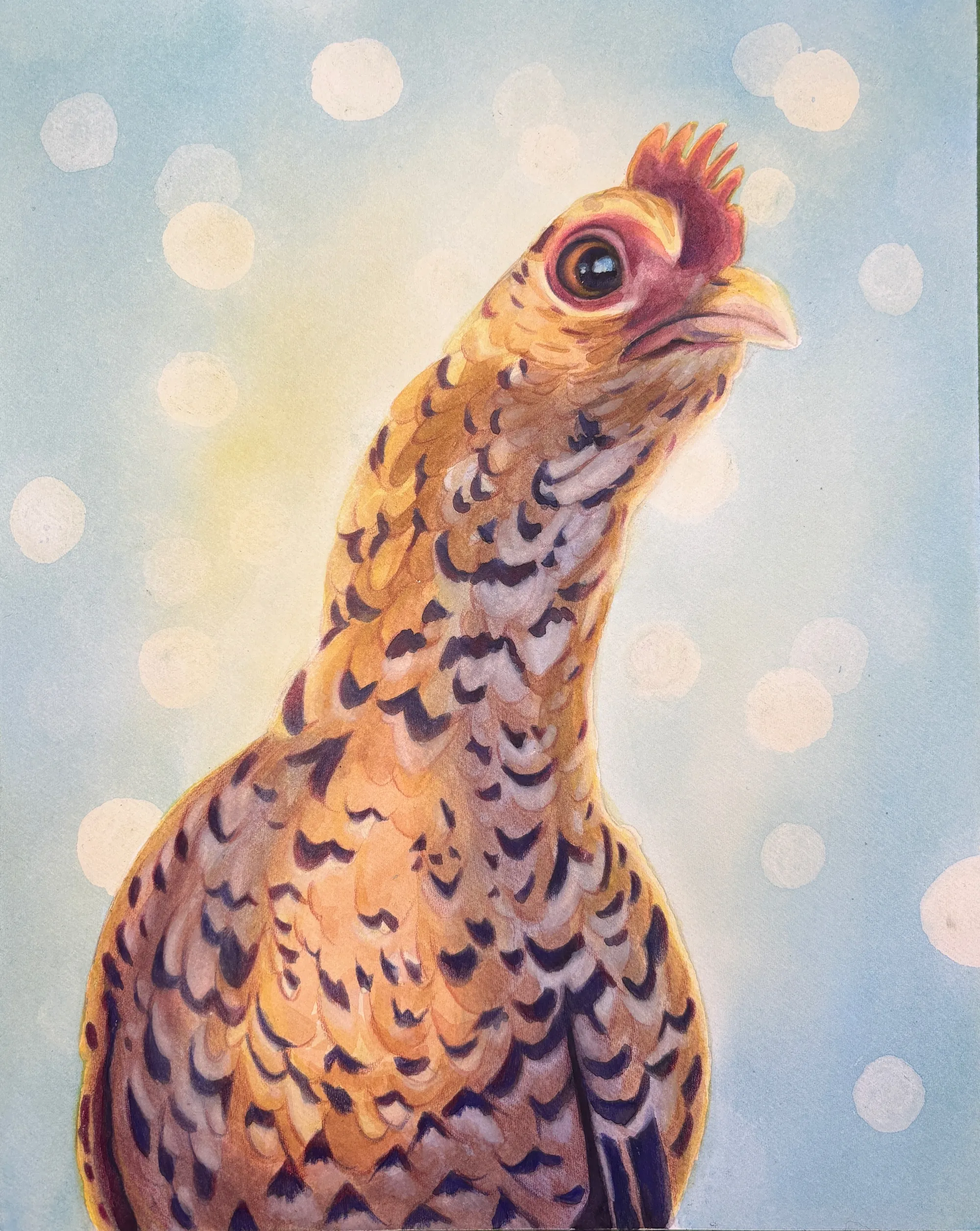 Golden-brown hen on a blue background.
