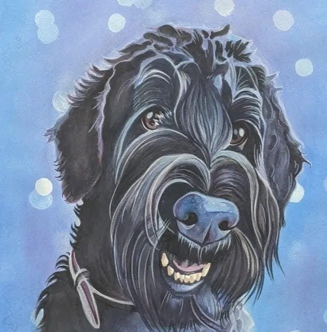 Black shaggy-haired dog with brown eyes on a blue background.