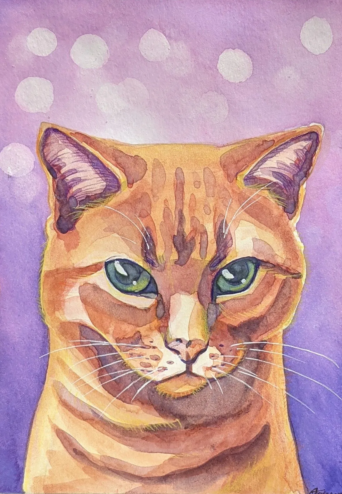 Orange tabby cat with green eyes on a pink-and-purple background.