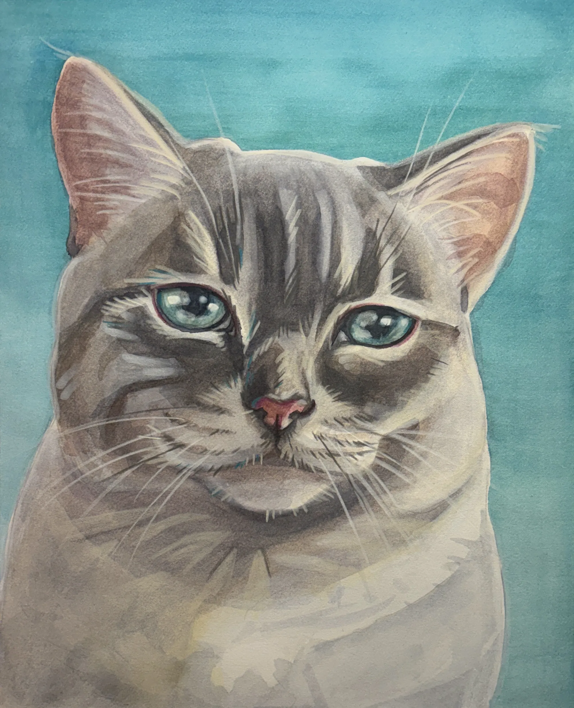 Grey tabby cat with blue-green eyes on a teal background.
